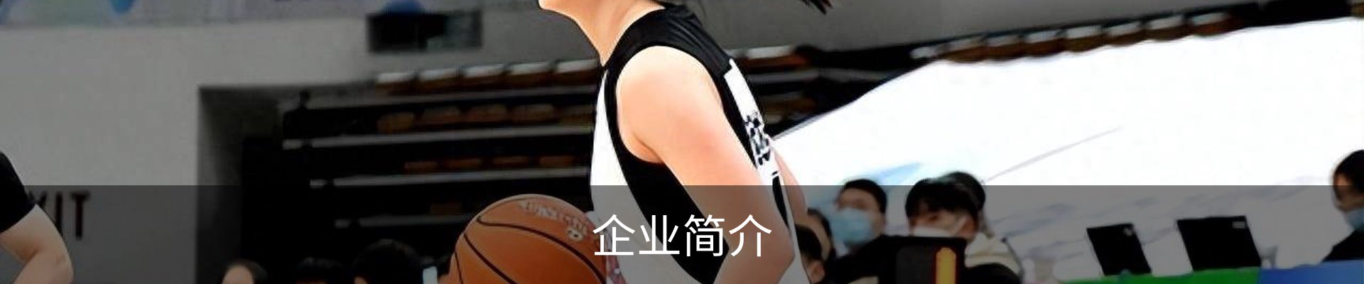 企业简介