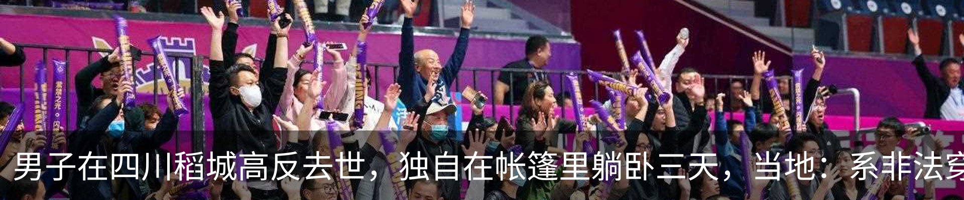 最新动态